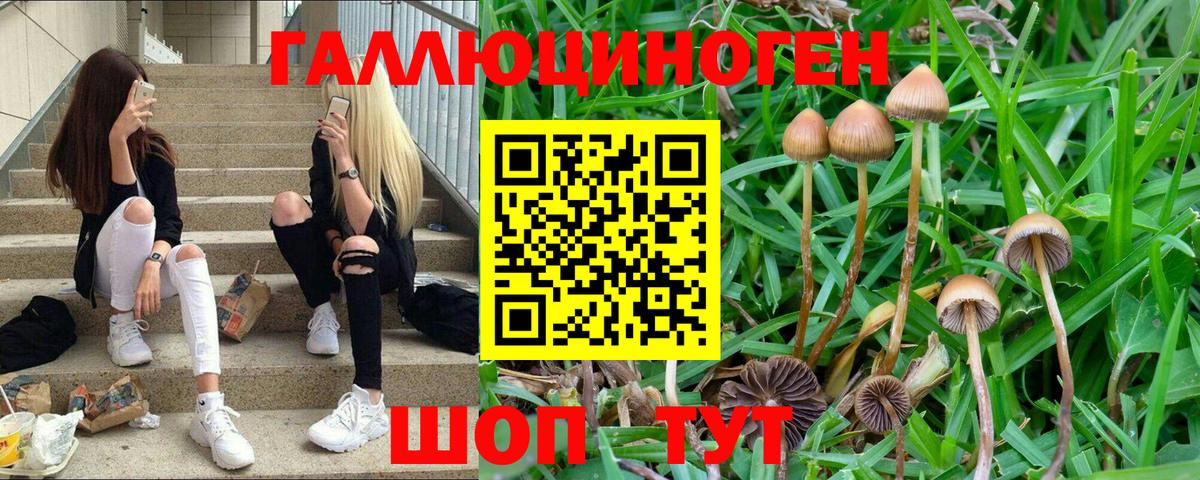 Галлюциногенные грибы MAGIC MUSHROOMS  Псилоцибиновые грибы мухоморы  Вход с VPN  Дзержинский 