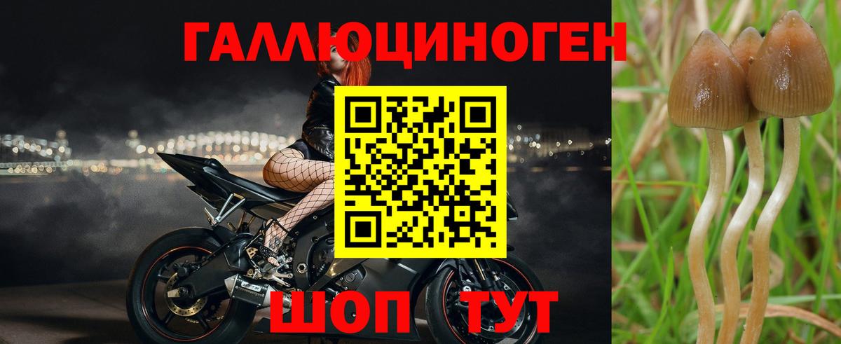 Галлюциногенные грибы мицелий Дзержинский